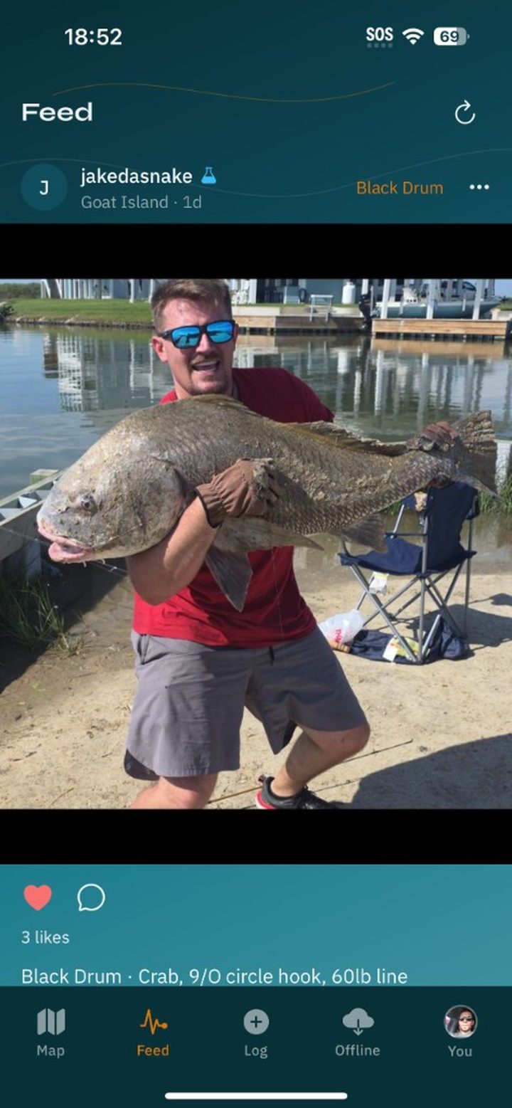 Catch feed with photos from other anglers